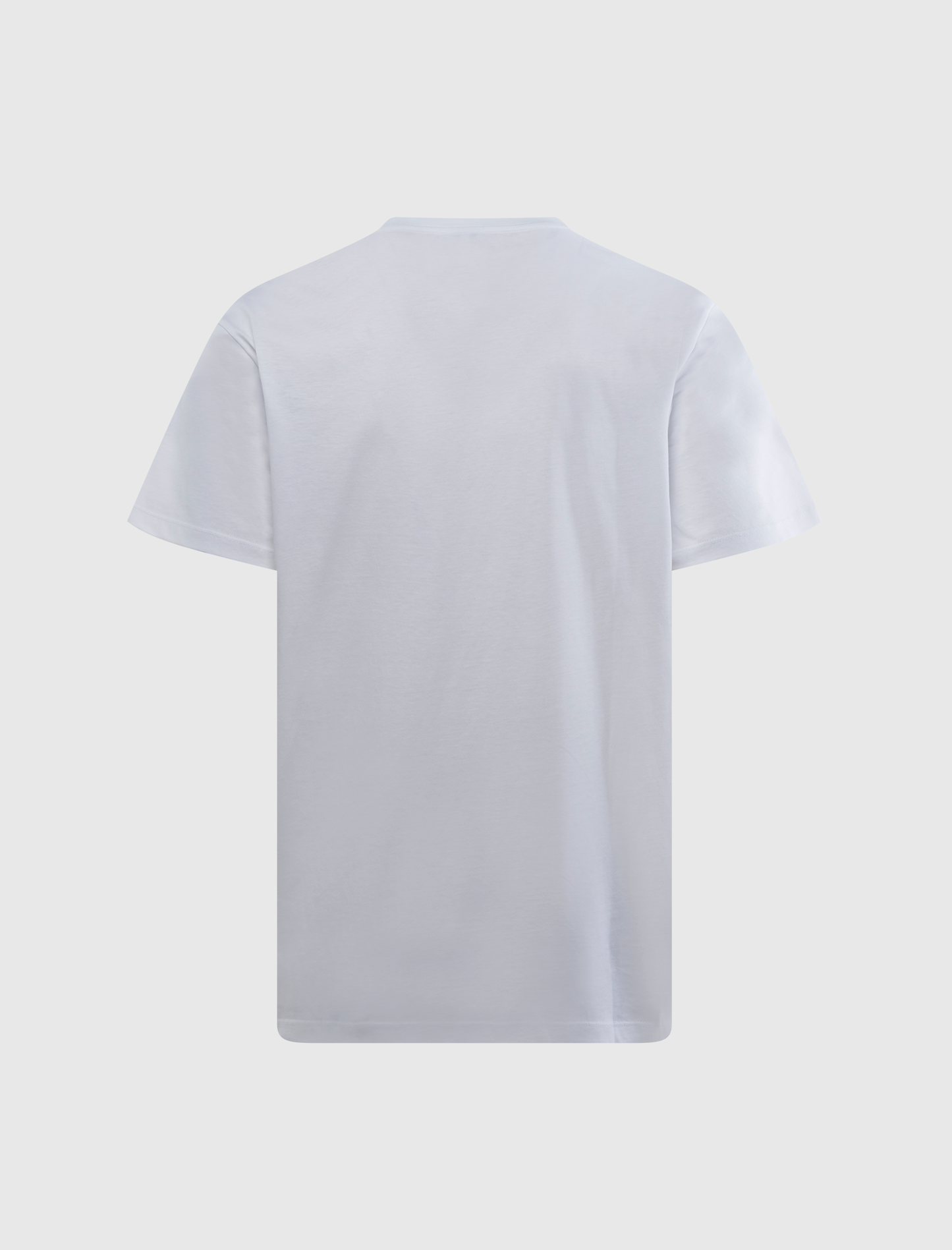 REGULAR FIT T-SHIRT