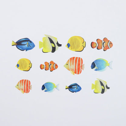 Bande Tropical Fish