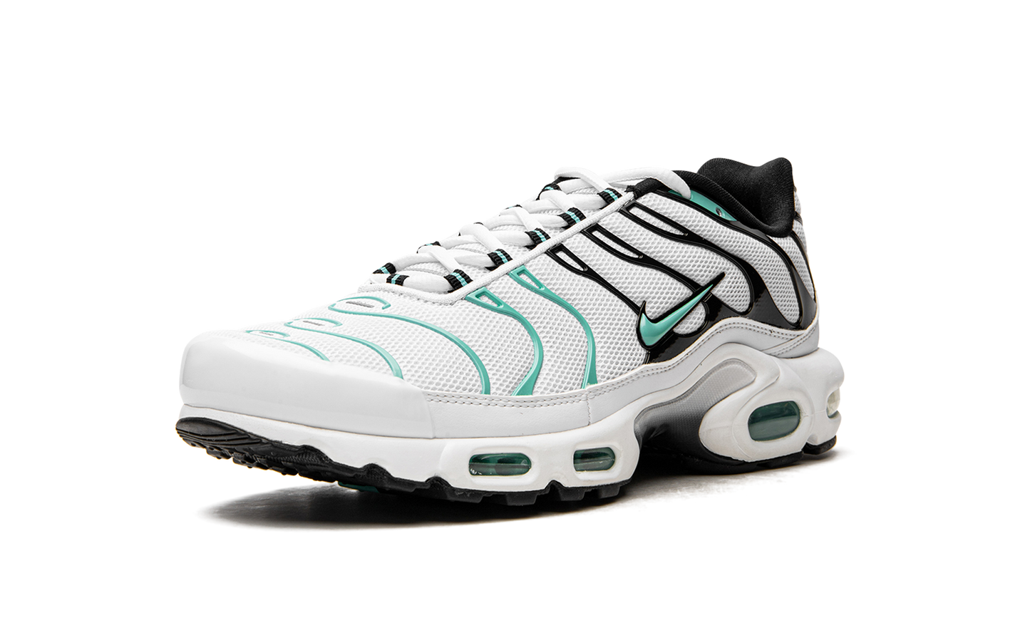 Air Max Plus "Atmos" 604133 148