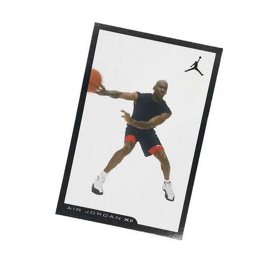 Nike Air Jordan 12 XII Taxi Retro Card