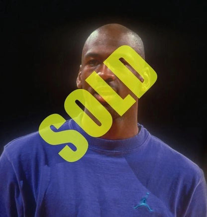 Nike Air Jordan 6 VI 1991 Heavyweight Tailored T-Shirt Purple