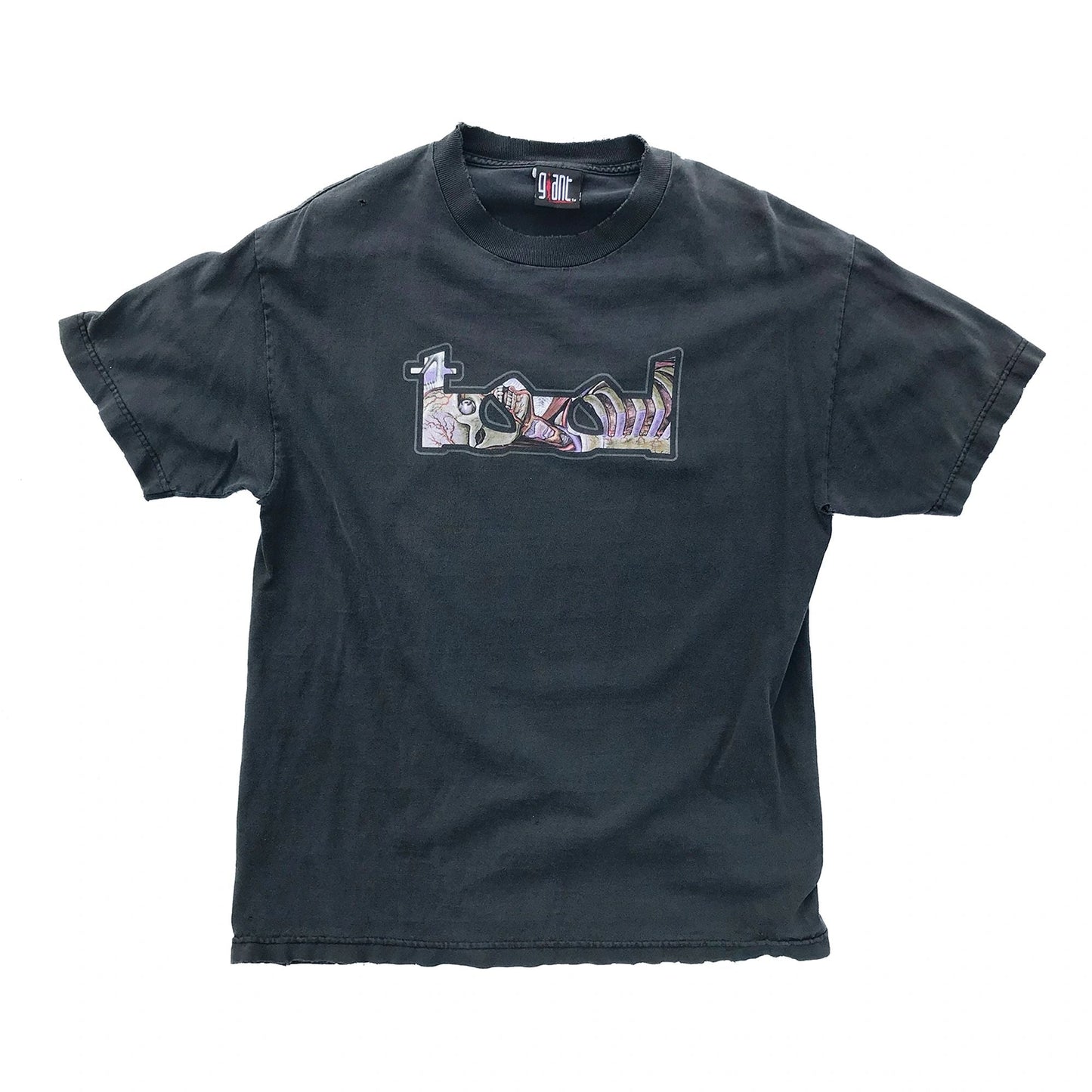2001 Tool Lateralus Perfectly Faded Band T-Shirt by Giant