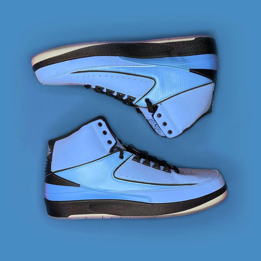 Nike Air Jordan 2 QF Custom "Wings" Label UNC