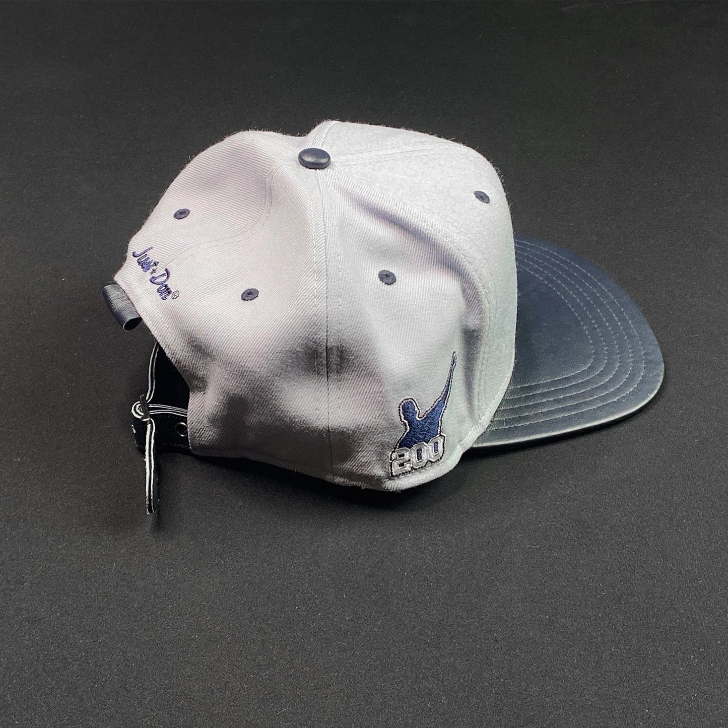 Air Jordan Just DON Nike CC Sabathia Promo Hat NEW