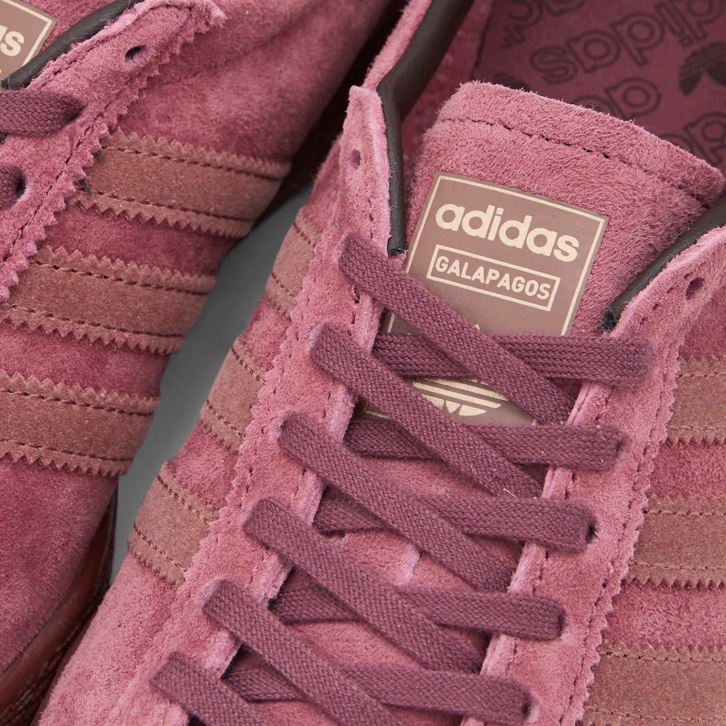 Galapagos Quiet Crimson | Wild Sepia | Fox Brown