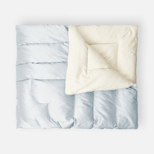 Blue Silk Eiderdown