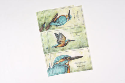 Esterbrook x BUNGUBOX Blotter Paper - Kachofugetsu Collection - Kingfisher - Limited Edition