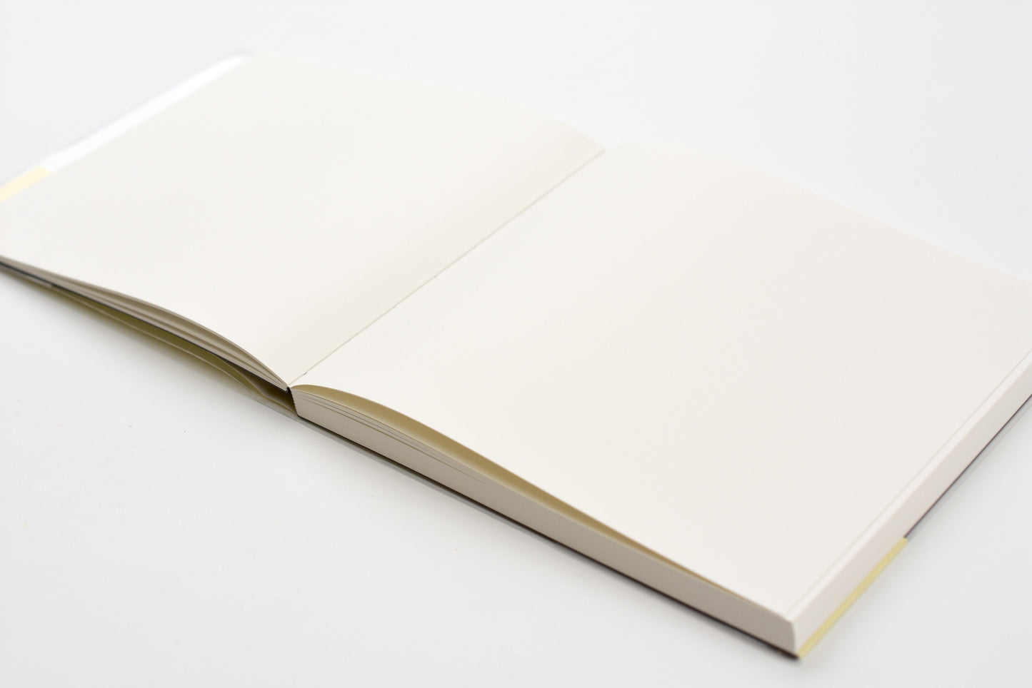 Apica Premium C.D. Notebook - Horizontal - Plain