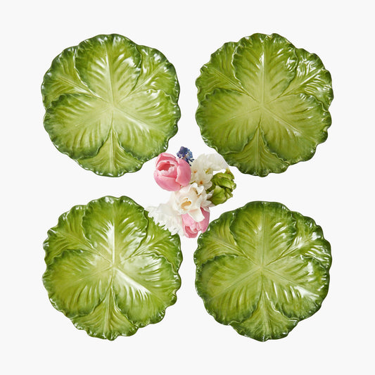 Green Serena Cabbage Starter Plates (Set of 4)