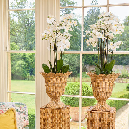 Liliana Scalloped Rattan Urn & Pedestal