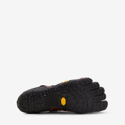 Spidrwalk Brown