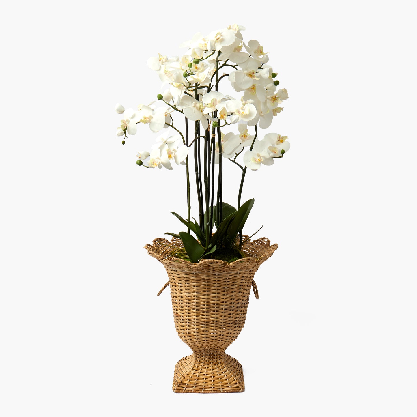 Faux Orchid in Soil - 110cm