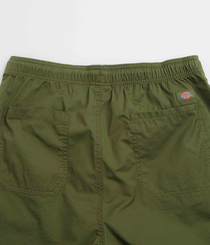 Dickies Pelican Rapids Shorts - Cypress