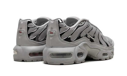 Air Max Plus HF GS "Light Iron" FZ0977 001