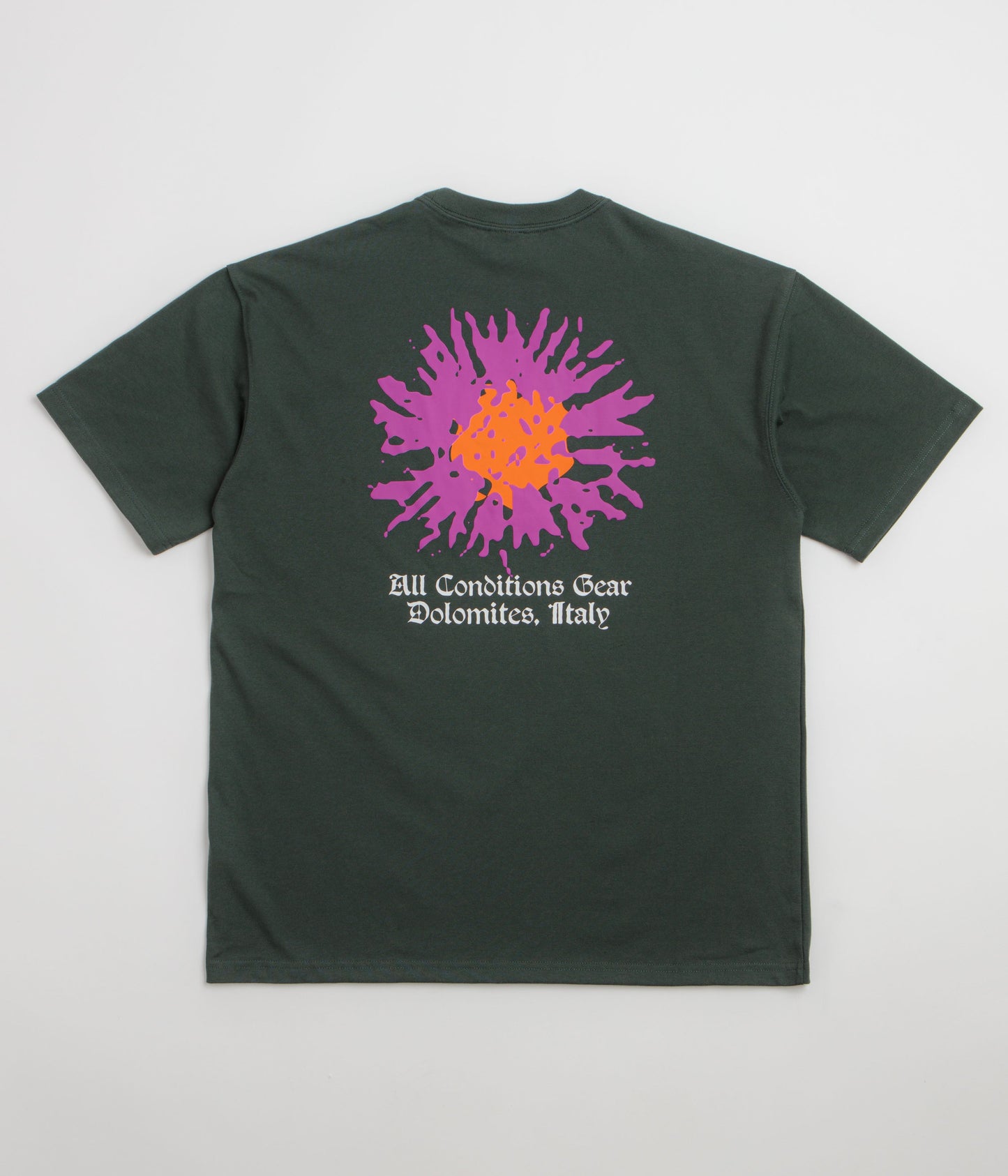 Nike ACG Meadows T-Shirt - Black Spruce