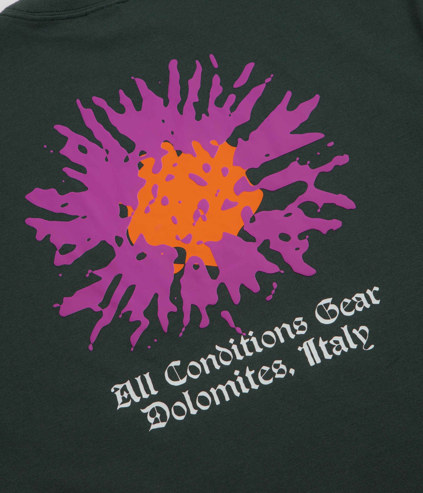 Nike ACG Meadows T-Shirt - Black Spruce