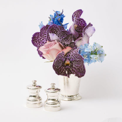 Sterling Silver Salt & Pepper Set (Pair)
