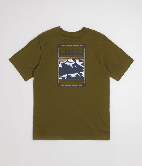 The North Face North Faces T-Shirt - Caraway Seed