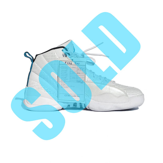 Nike Air Jordan 12 XII Rising Sun Rare Sample New Size 9